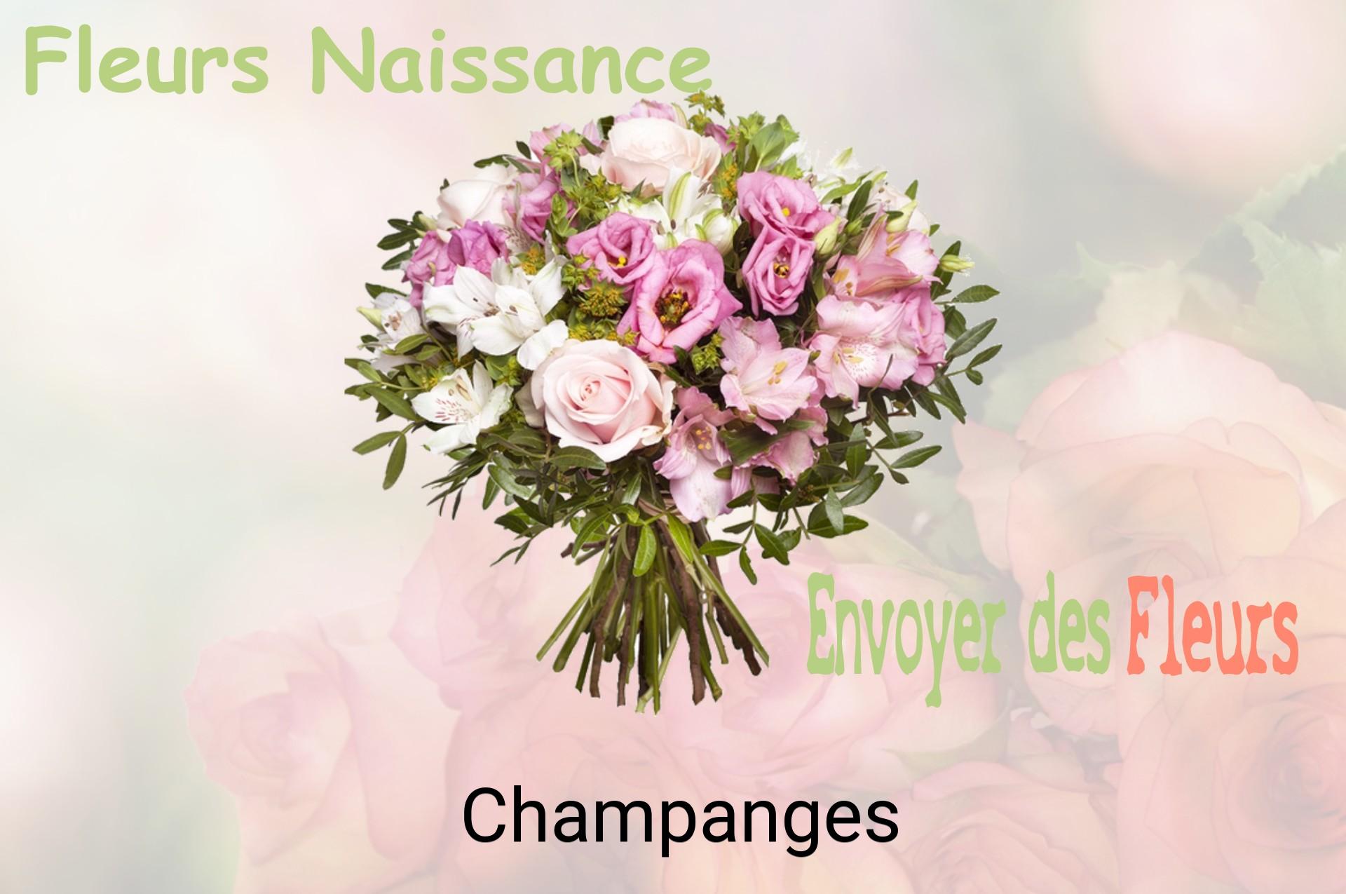Bouquet de fleurs de naissance livré à Champanges