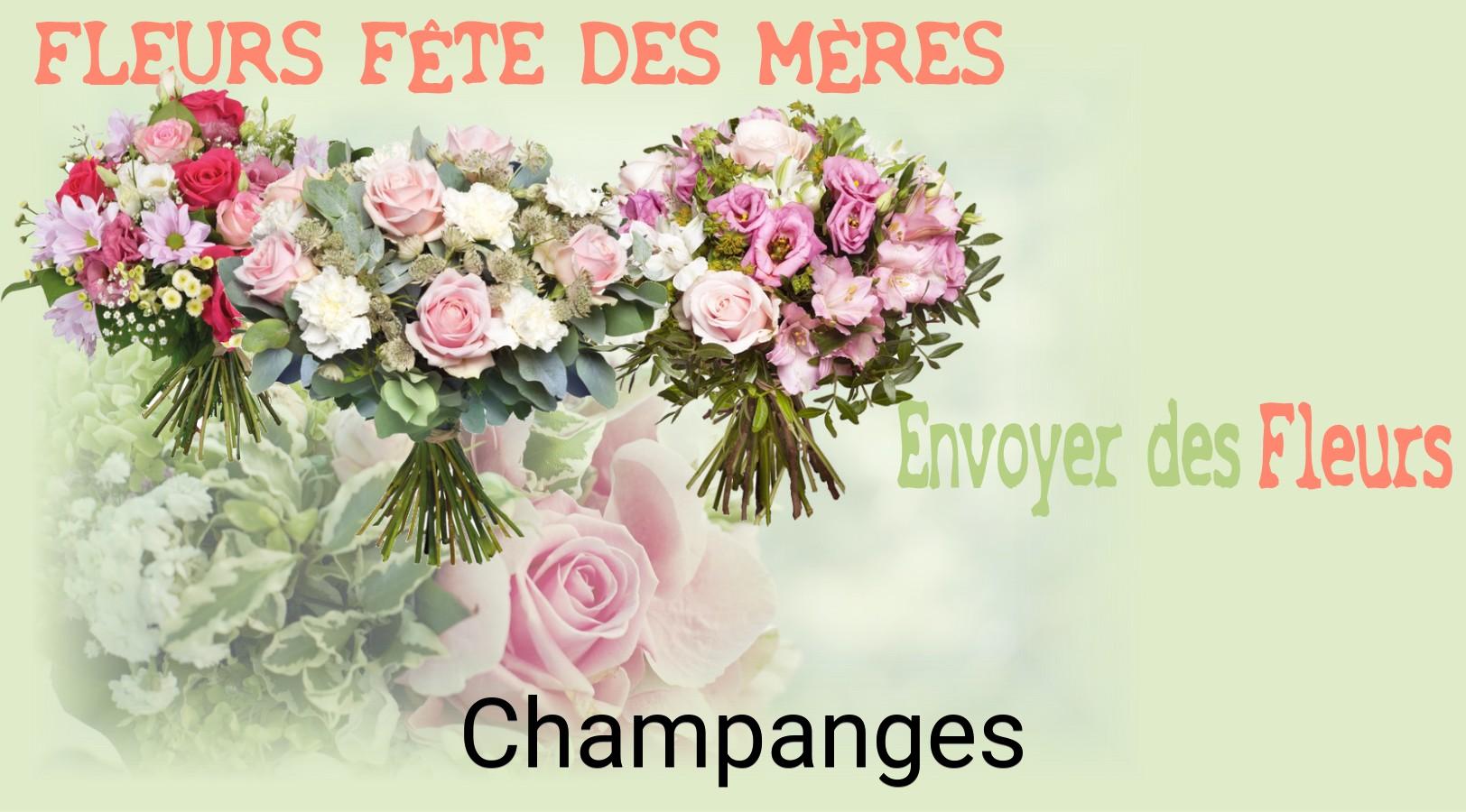 Bouquet de Fête des Mères livré à Champanges